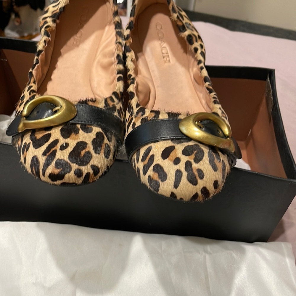 Coach leopard flats